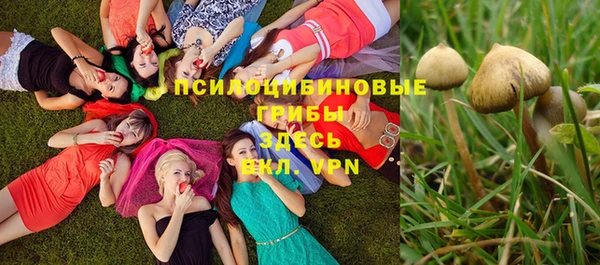 МДМА Алексин