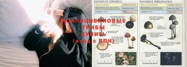 МДМА Алексин