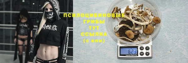 дживик Алзамай