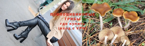 дживик Алзамай