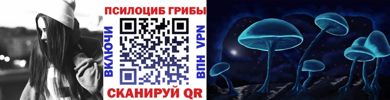 Галлюциногенные грибы Magic Shrooms  mega ссылка  Андреаполь 